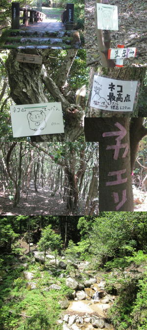 猫山と笠岳
