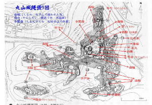 丸山城縄張り図 丸山城縄張り図